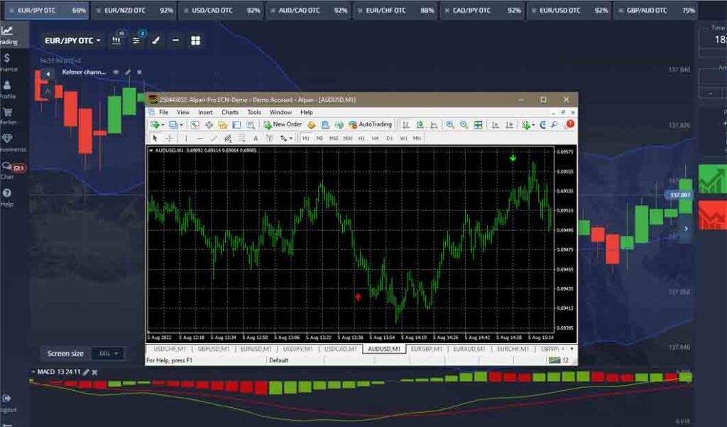 Pocket Option MT4 Chart and Indicator