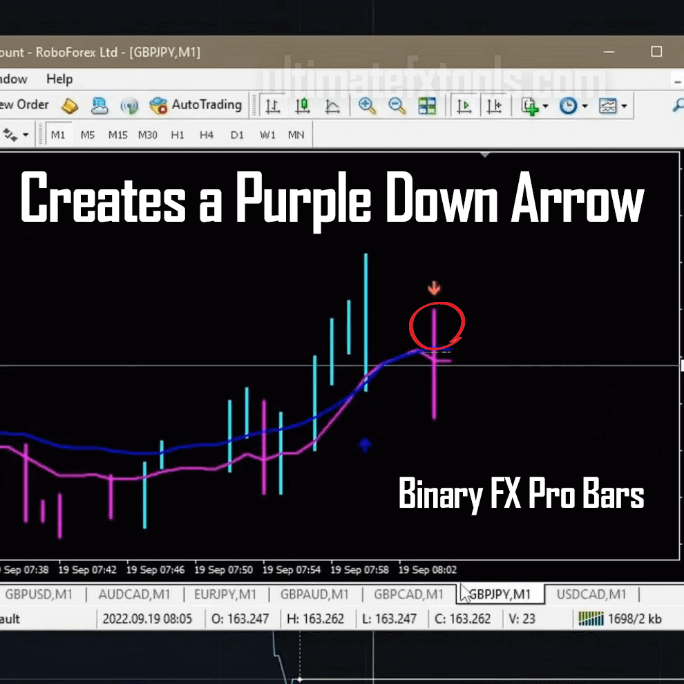 FX Pro Bars with Advance Candles