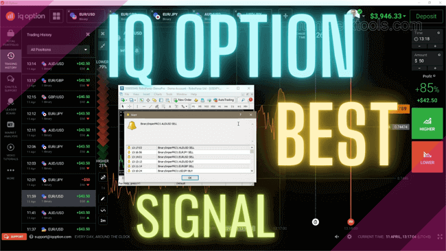 Best IQ Option Signal