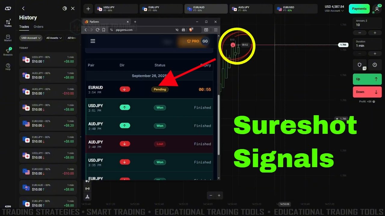 PipGems AI Signals Delivered Consistent Wins - Olymp Trade
